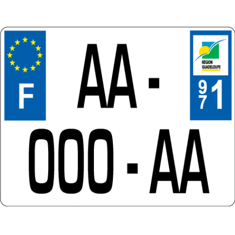 Plaque AUTO non homologuée Et/ou sur mesure (Format, logos régions modifiés  …) - Plaque immatriculation auto moto
